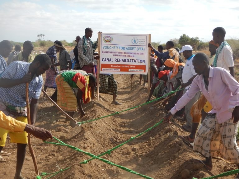 Progress Under the Voucher for Assets (VFA) Project – Beletweyne District